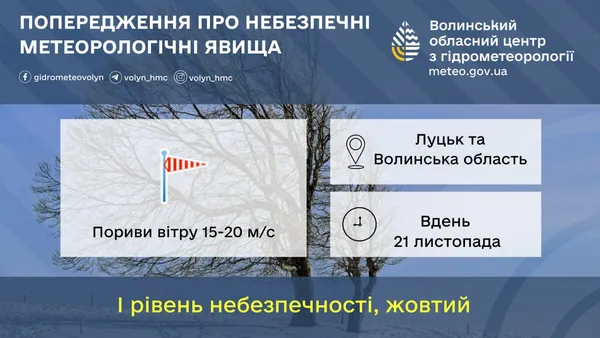 Ожеледиця і сильний вітер: на Волинь суне негода