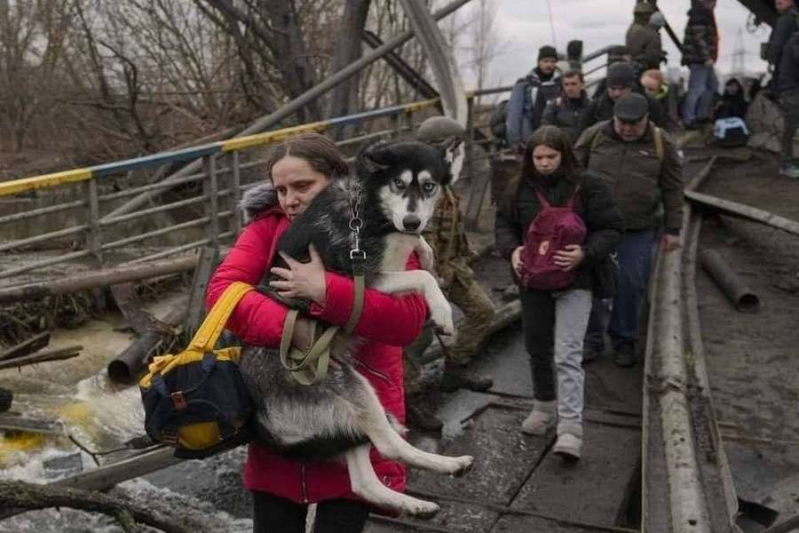 З Ірпеня на Київщині триває евакуація населення (фото, відео)