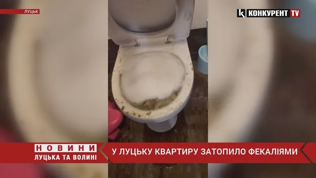 Сусіди викинули підгузок у туалет: у Луцьку квартира тоне у фекаліях (відео)