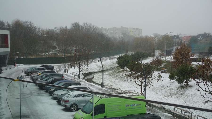 Снігопад у луцькому парку (фото)