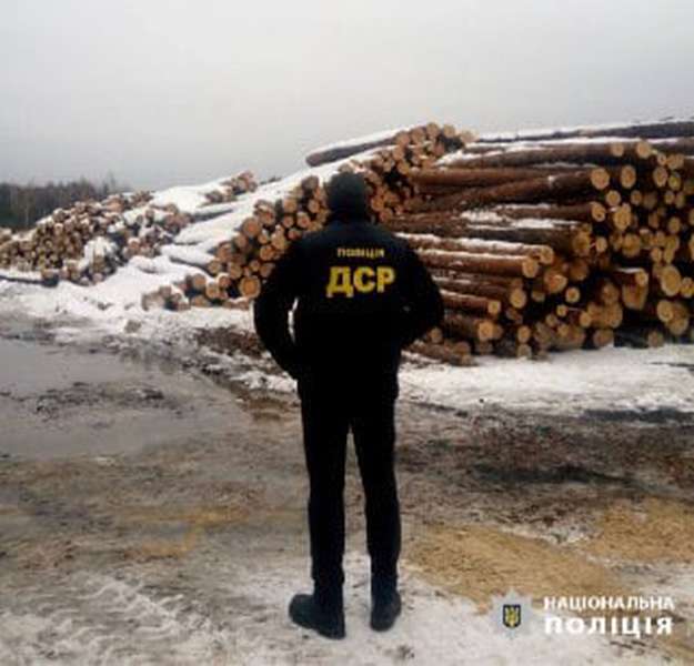 На Волині вилучили деревини сумнівного походження на понад 800 тисяч (фото)