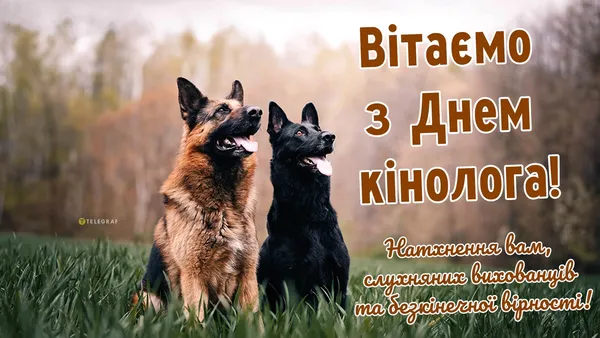 З Днем кінолога: теплі привітання у картинках і прозі