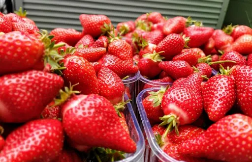 В Україні зафіксовані рекордні ціни на полуницю за останні 5 років