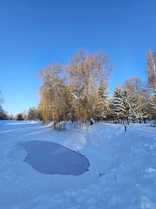 Кликуни несуть світло: показали мальовничі ранкові пейзажі Луцька (фото)