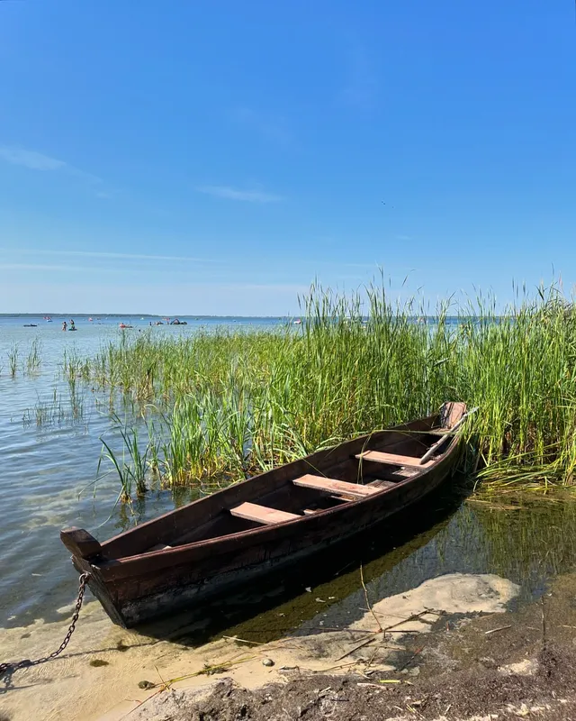 Спека, прохолодна водичка і качечки: як минають останні літні дні на Світязі (фото)