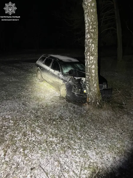 У Ковелі вночі п'яний на Audi втікав від патрульних і протаранив дерево (фото)