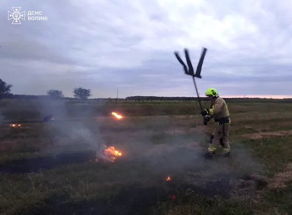 На Волині продовжують палити сухостій (фото)