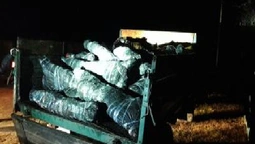 Біля кордону з Білоруссю  виявили вантажівку з телячими тушками (фото)
