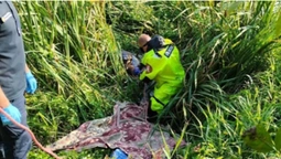 Пішов з дому тиждень тому: у Луцькому районі в заплаві річки знайшли тіло чоловіка (фото)