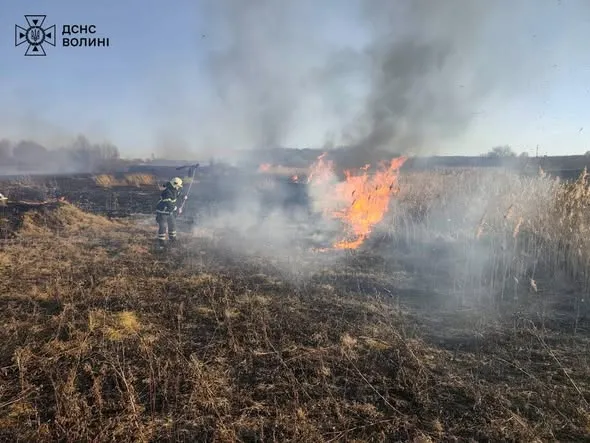 Понад два гектари вогню: на Волині знову палала суха рослинність (фото)