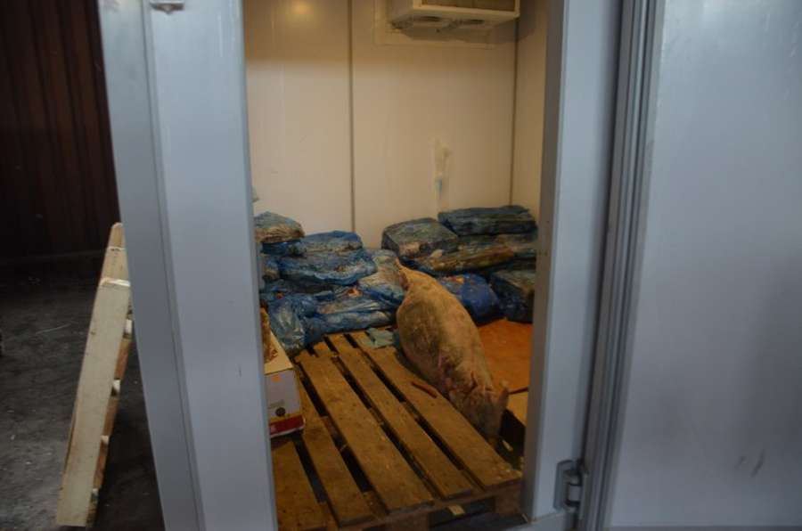 На КП «Ласка» в холодильниках знайшли мертвих тварин (фото 18 +) 