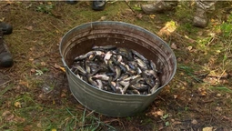 Тягав рибу сітками: на Світязі зловили браконьєра (фото)