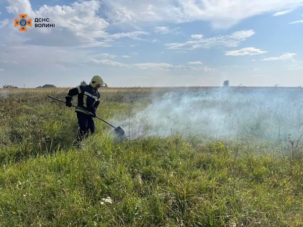 На Волині курці спалили пів гектара сухої трави (фото)