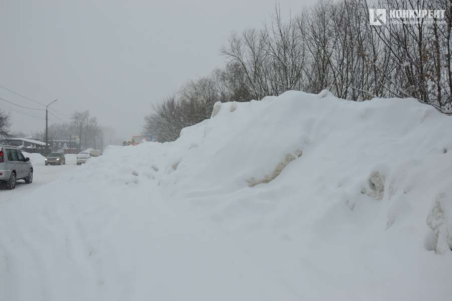 Луцькі гори: як виглядає місце останнього спочинку міського снігу (фото)