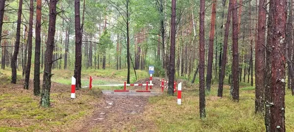 В нацпарку на Волині подбали про захист від пожеж: що зробили (фото)