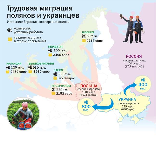 Трудовий прогноз: чому український ринок можуть зайняти в'єтнамці  (інфографіка)
