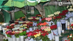 Де у Луцьку купити квіти до 8 березня найдешевше (фото)