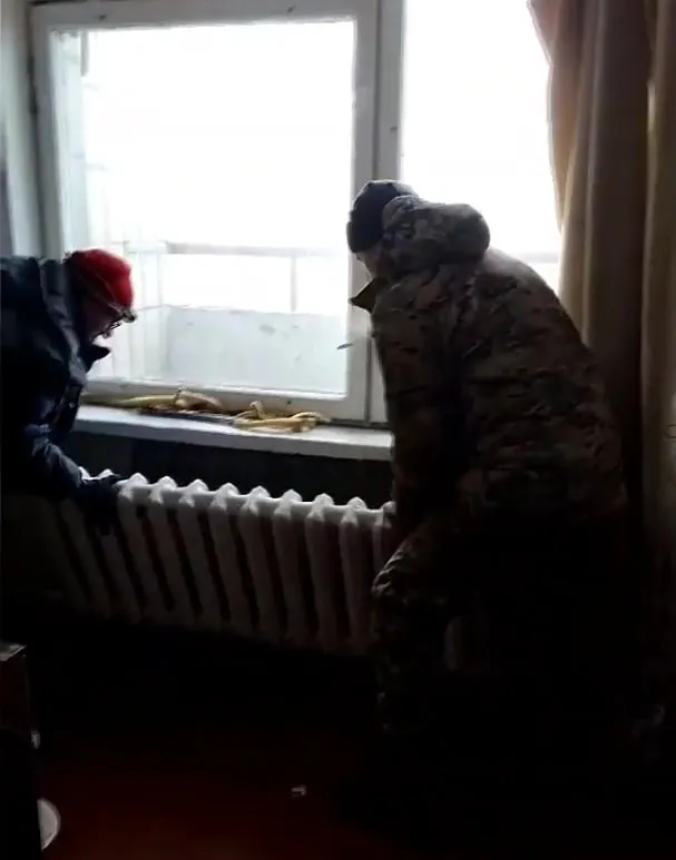 Все полопалось і замерзло: луцькі комунальники розморожували київські будинки (відео)