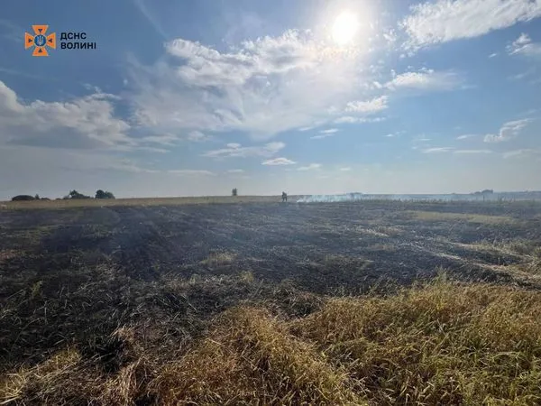 На Волині курці спалили пів гектара сухої трави (фото)