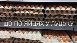 Ціна зросла ще більше: скільки у Луцьку коштують яйця (фото)
