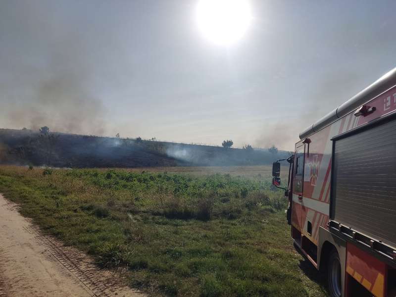 Паліїв шукають: у Луцькому районі пожежа знищила пів гектара поля (фото)