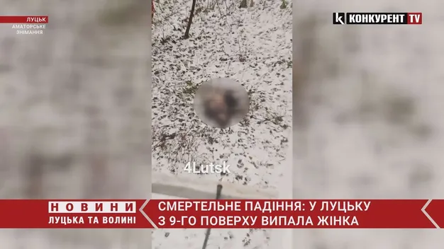 Головне у Луцьку: ТОП новин четверга, 27 січня