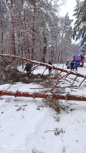 Пожежі, повалені дерева, застряглі авто: що робили волинські рятувальники у неділю (фото)
