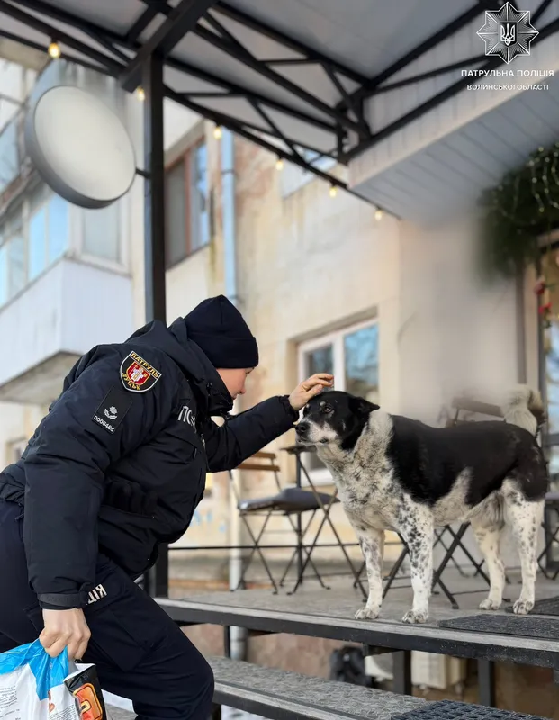 Смаколики замість штрафів: вулицями Луцька пройшов зворушливий рейд