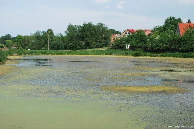 На базі Кічкарівських ставків створять заказник