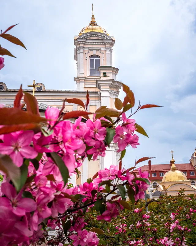 У центрі Луцька розквітнув «райський сад» (фото)