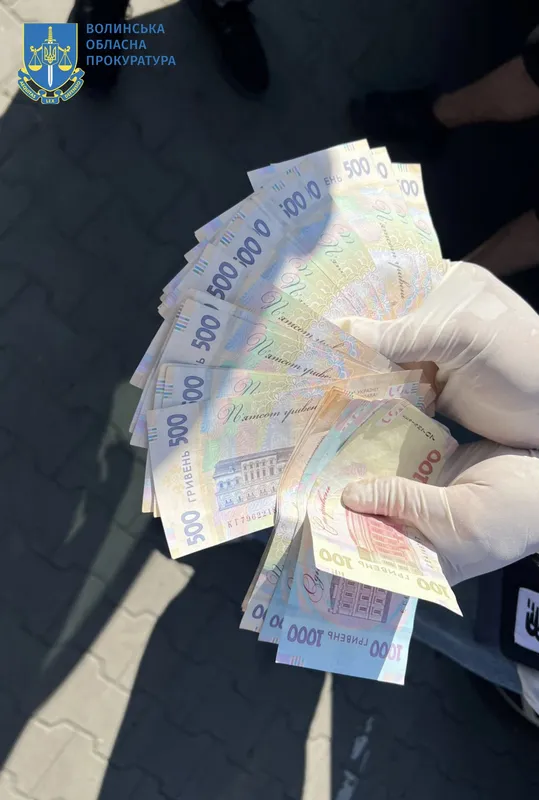 Затримали волинського «рішалу», який мутив у МРЕО