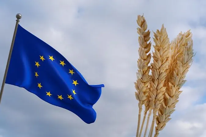П'ять країн ЄС хочуть продовжити дію заборони на імпорт українського зерна