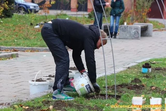На проспекті Волі у Луцьку садили алею троянд (фото)