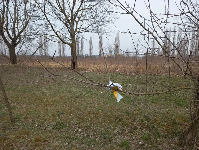Лучани влаштували сміттєзвалище біля Нового ринку (фото)