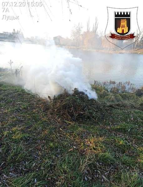 Димова завіса: на Теремнівських ставках підпалили зілля (фото)