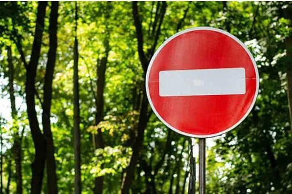 На чорниці не пускають: у прикордонні ліси Волині заборонили заходити