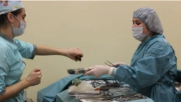 У Ковелі медики успішно "пересадили" нирку жінці (відео)