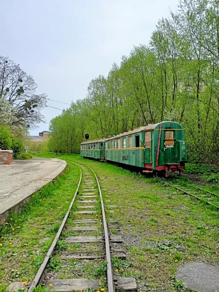 Руїни дитячої залізниці у Луцьку (фото)