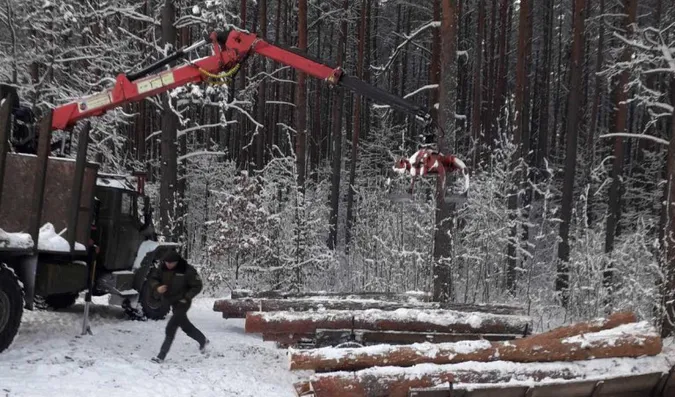Збиралися везти трьома підводами: на Волині зловили крадіїв деревини