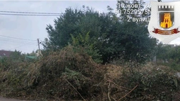У Луцьку голову ОСББ насварили за звалене біля смітників гілля та зілля (фото)
