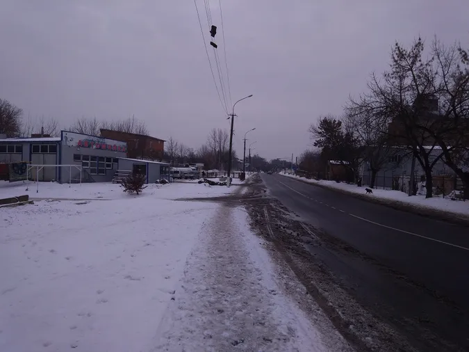 У Луцьку два роки обрізки дерев висять на електродротах (фото)