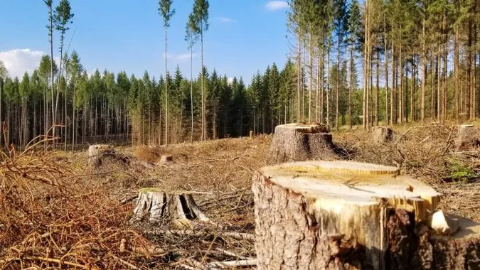 Фото ілюстративне