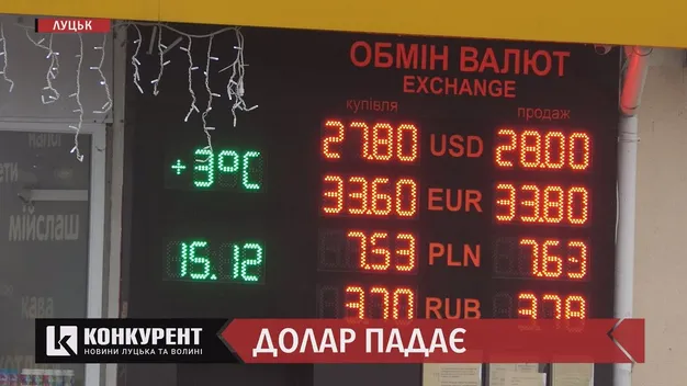 Що буде з доларом перед Новим роком: пояснення економічної експертки з Луцька  (відео)