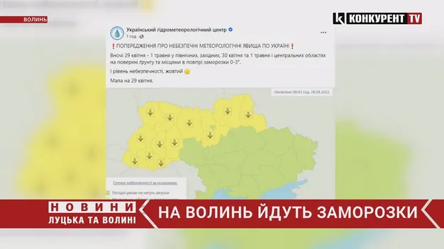 Україні прогнозують заморозки (відео)