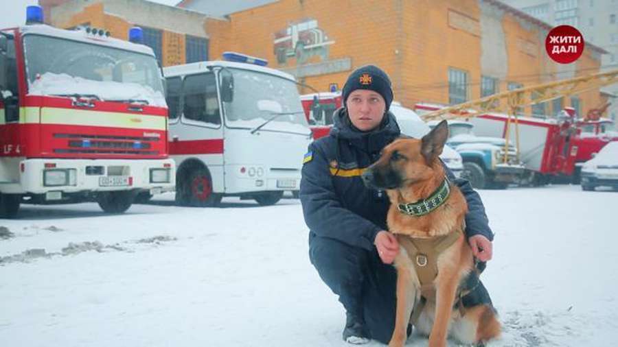 Патрон – не єдиний: як українські собаки працюють на Перемогу (фото)