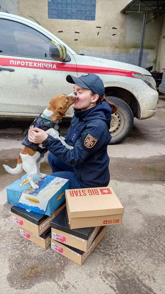 Популярний пес Патрон отримав передачу від луцьких волонтерів (фото, відео)