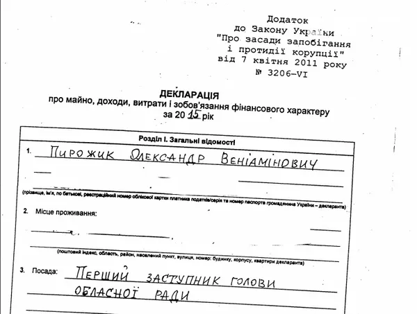 Заступники Палиці показали, скільки заробили у 2015