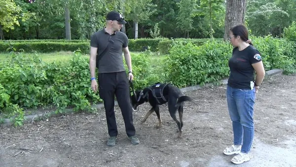 У Луцьку волонтери допомагають тваринам справлятись зі стресом під час війни (фото, відео)
