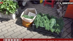 Салат, рукола, цибулька і шпинат: які ціни на зелень на луцькому ринку (відео)