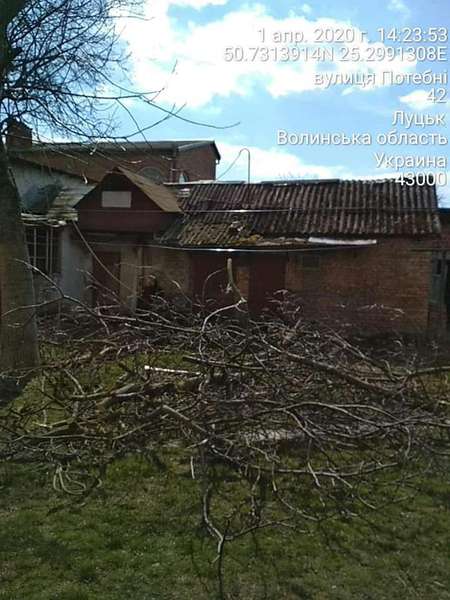 У Луцьку на Потебні незаконно зрізували дерева (фото)